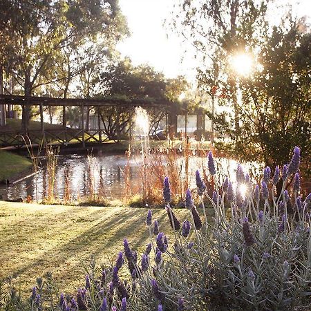 Hunter Valley Resort, Hunter Farm Adventure Centre & 4 Pines At The Farm Pokolbin Exterior photo