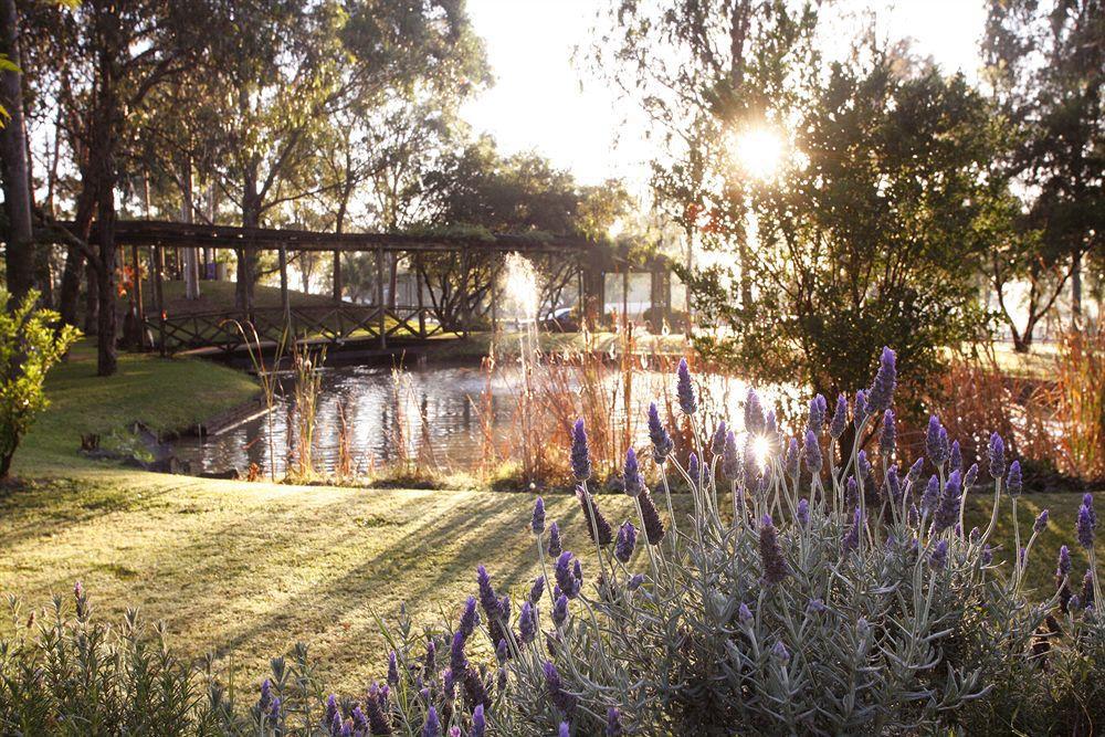 Hunter Valley Resort, Hunter Farm Adventure Centre & 4 Pines At The Farm Pokolbin Exterior photo