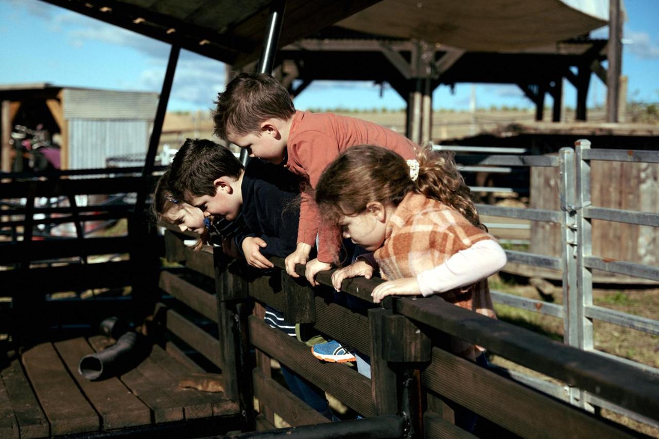 Hunter Valley Resort, Hunter Farm Adventure Centre & 4 Pines At The Farm Pokolbin Exterior photo