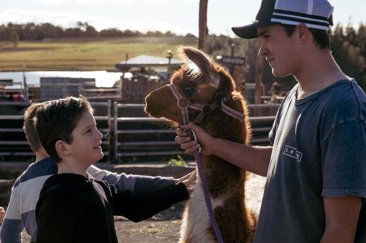 Hunter Valley Resort, Hunter Farm Adventure Centre & 4 Pines At The Farm Pokolbin Exterior photo