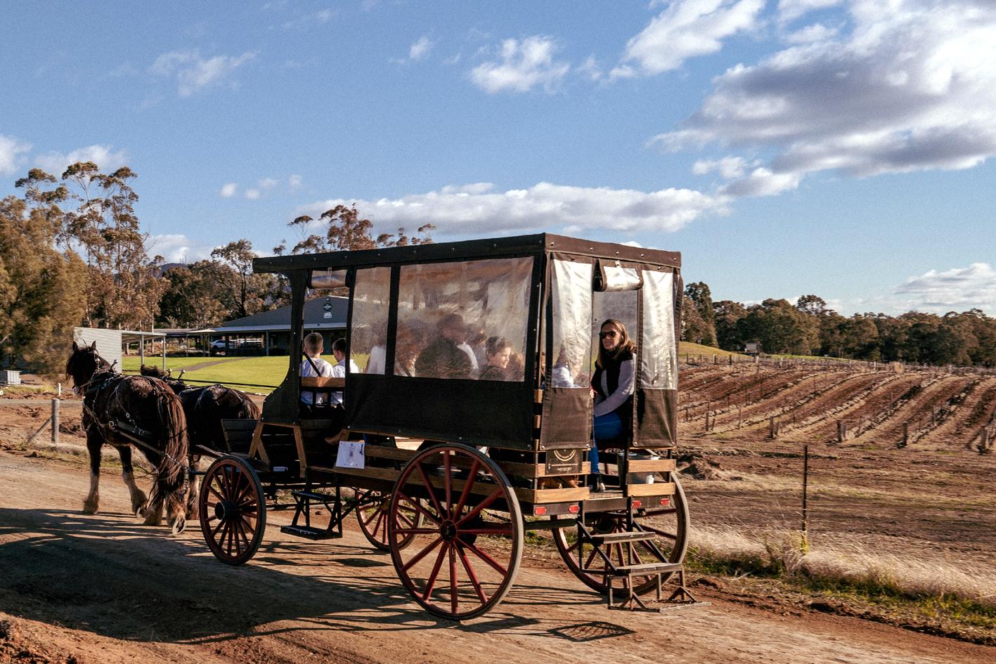 Hunter Valley Resort, Hunter Farm Adventure Centre & 4 Pines At The Farm Pokolbin Exterior photo