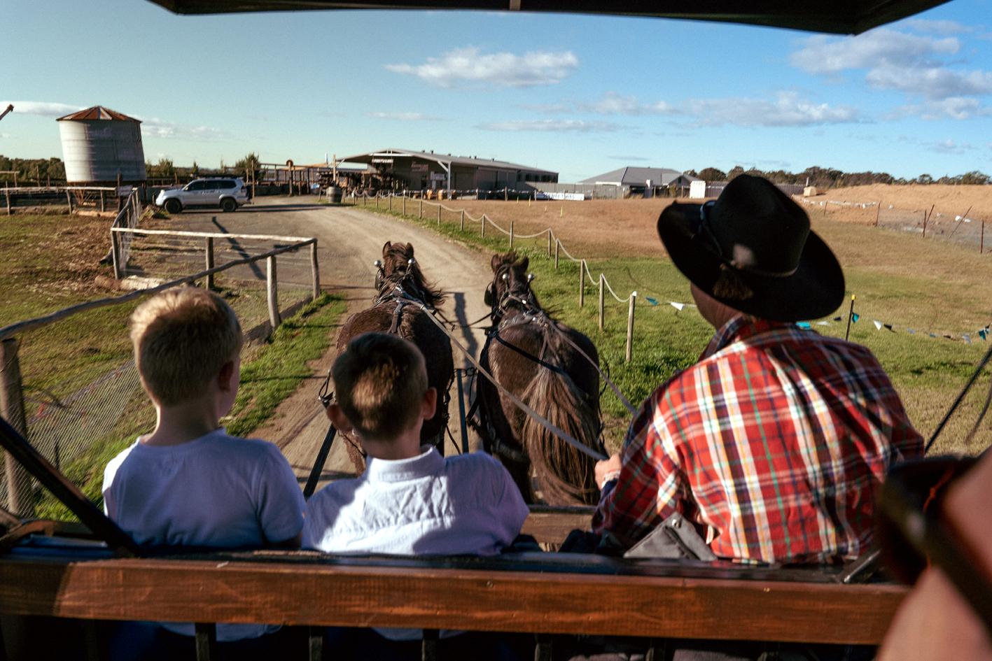 Hunter Valley Resort, Hunter Farm Adventure Centre & 4 Pines At The Farm Pokolbin Exterior photo