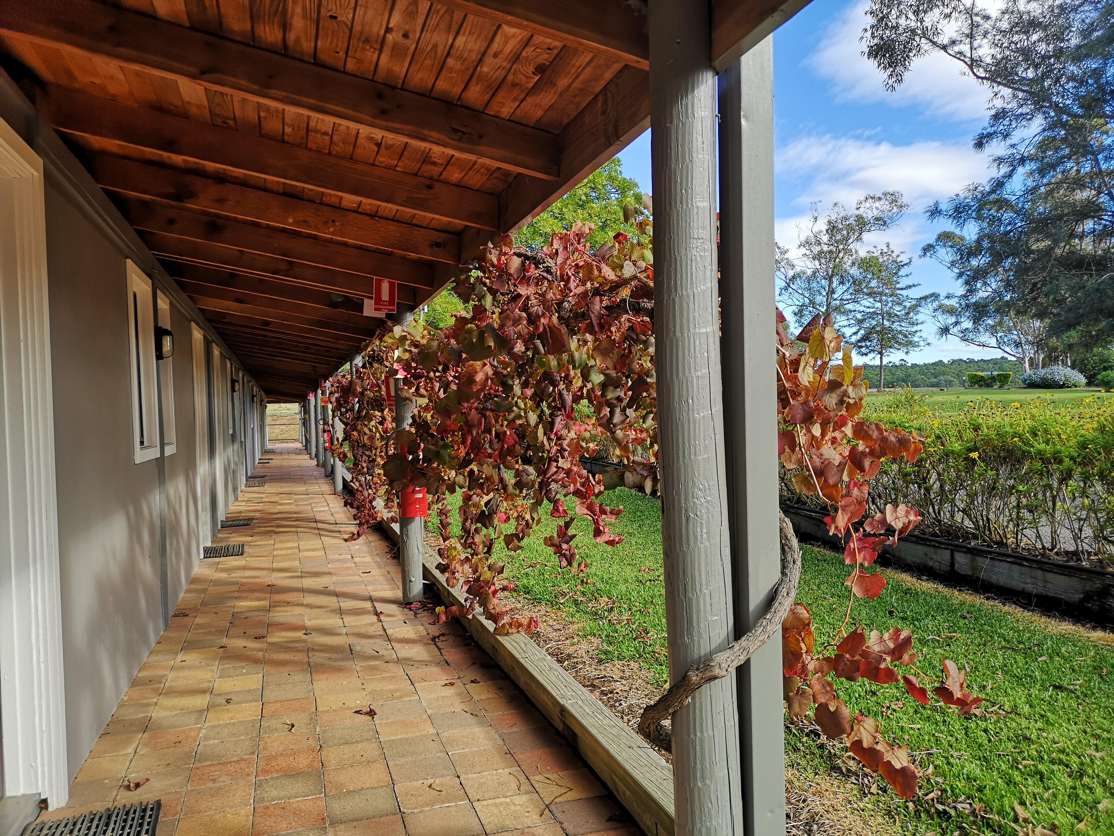 Hunter Valley Resort, Hunter Farm Adventure Centre & 4 Pines At The Farm Pokolbin Exterior photo